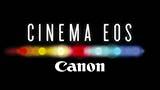 Canon Cinema EOS, nuovi firmware per i nuovi standard 4K UHDTV